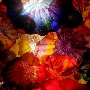 Meet your Posher, Elena